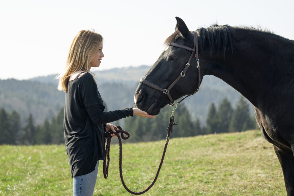 Selbsterfahrung mit Pferd