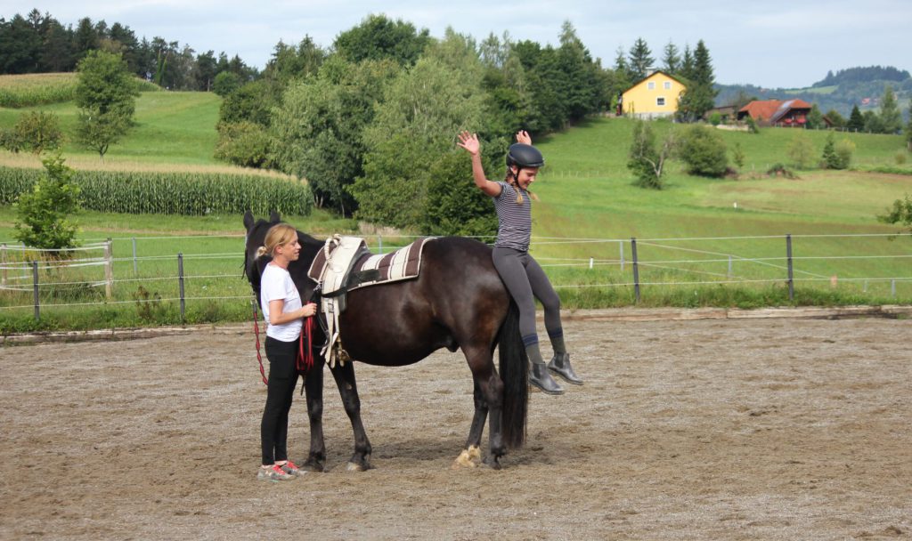 Konzentrationstraining mit Pferd