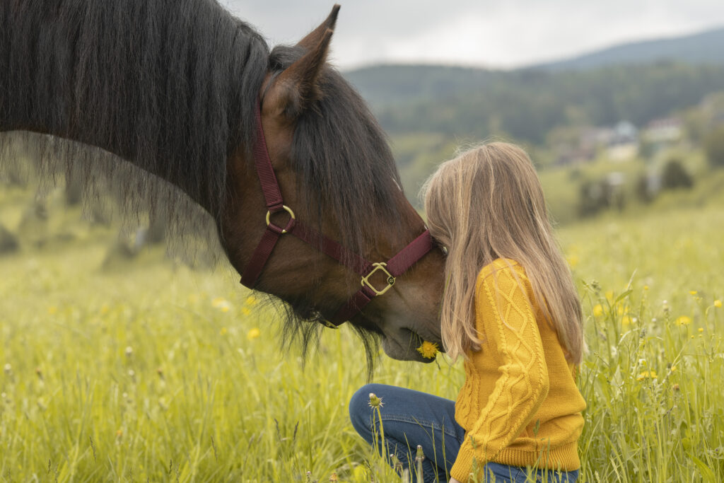 Heilpädagogische Therapeutische Förderung mit dem Pferd